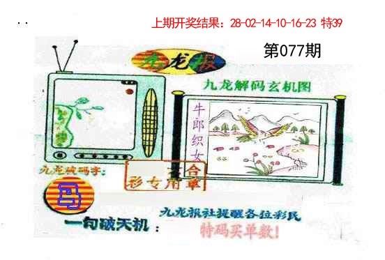 077期九龙报[图]