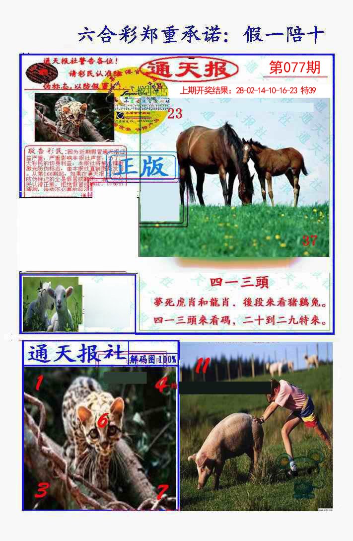 077期假一陪十通天报[图]