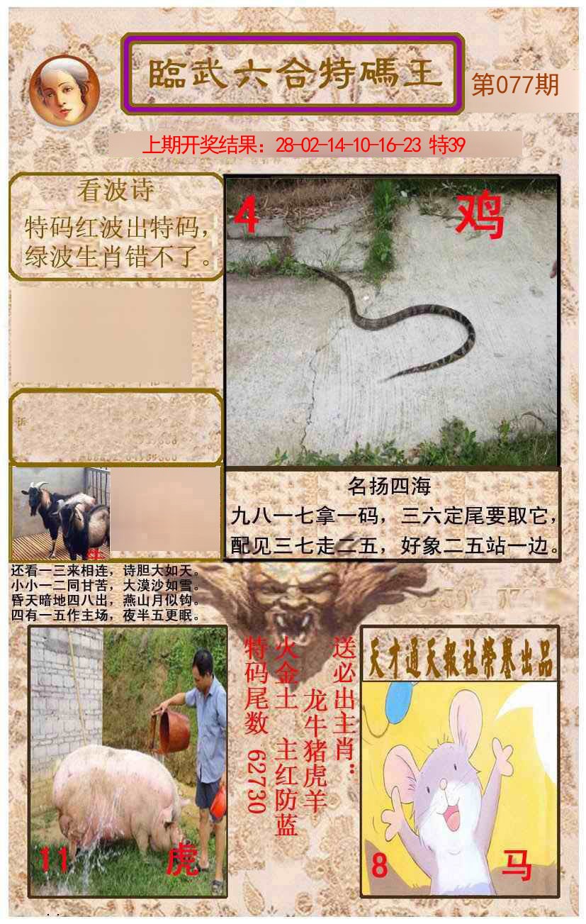 077期临武六合特码王[图]