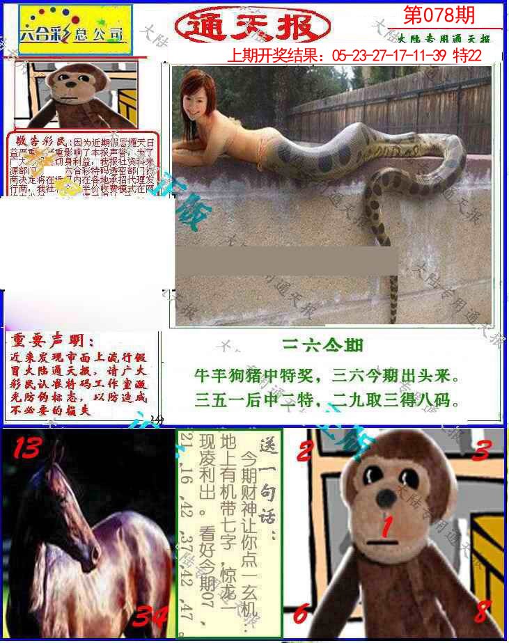 078期大陆通天报[图]