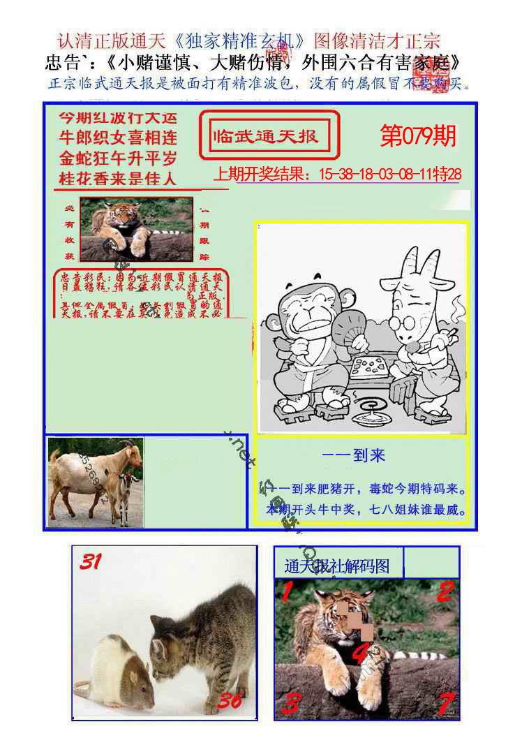 079期临武通天报[图]