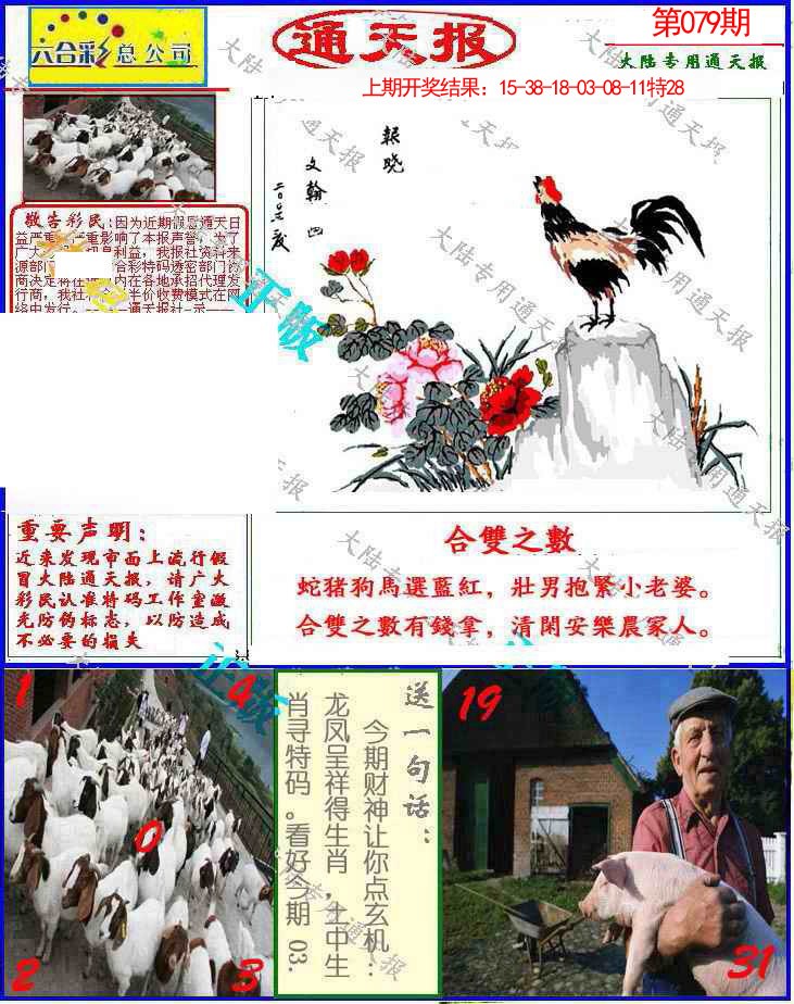 079期大陆通天报[图]