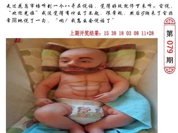 079期澳门生活幽默[图]