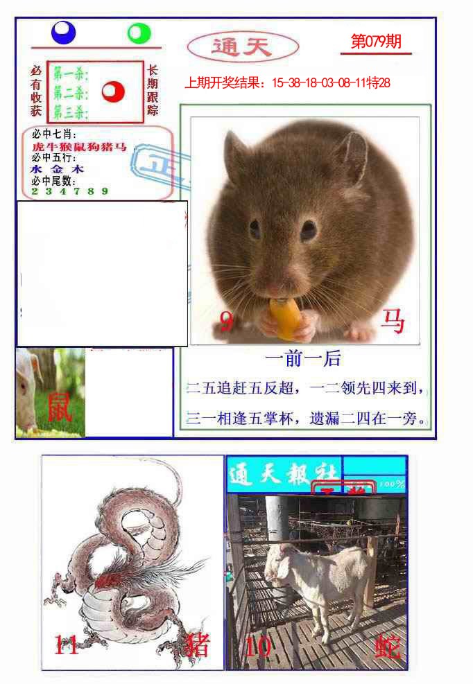 079期通天杀波图2[图]