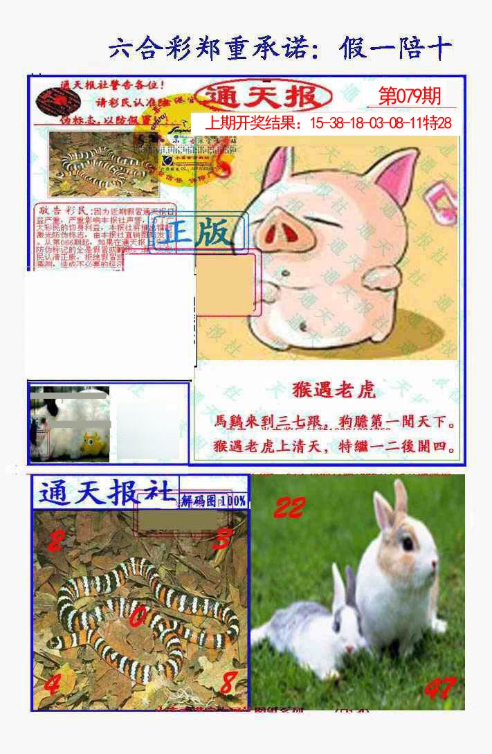 079期假一陪十通天报[图]