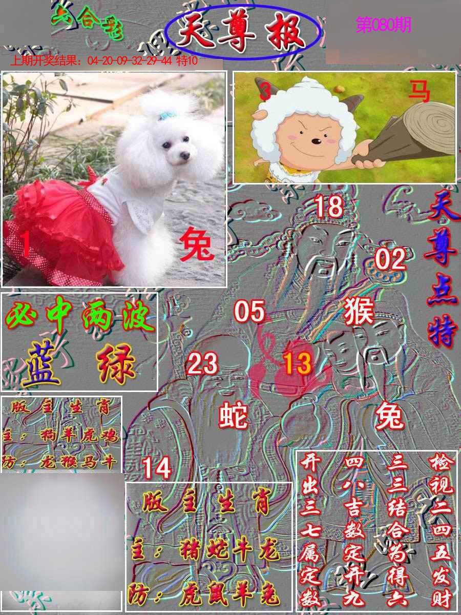080期天尊报[图]