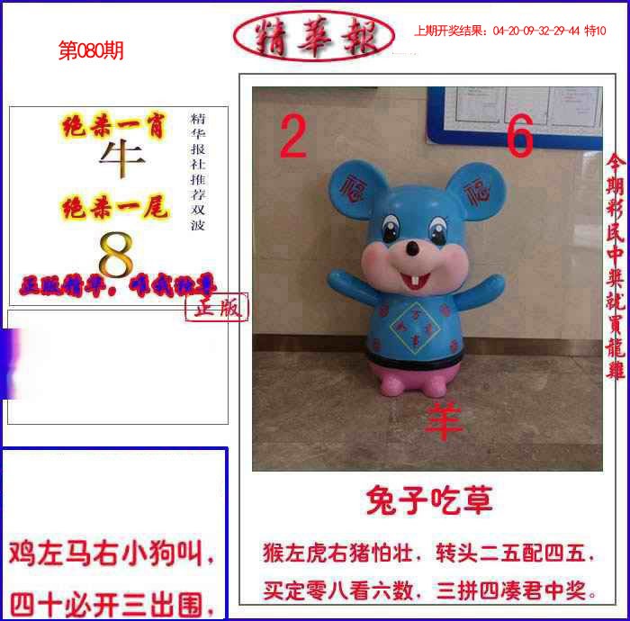 080期新精华报报[图]