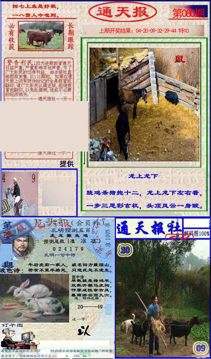 080期实力通天报[图]