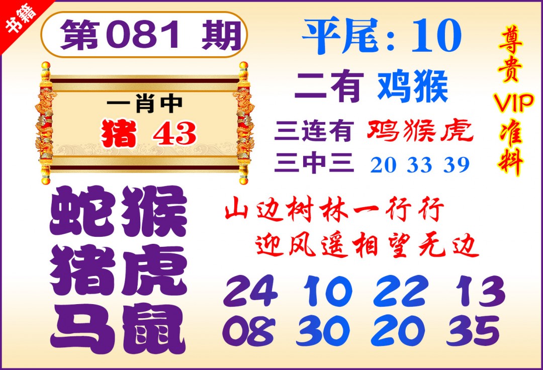 081期澳门九龙天书[图]