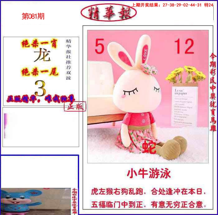 081期新精华报报[图]