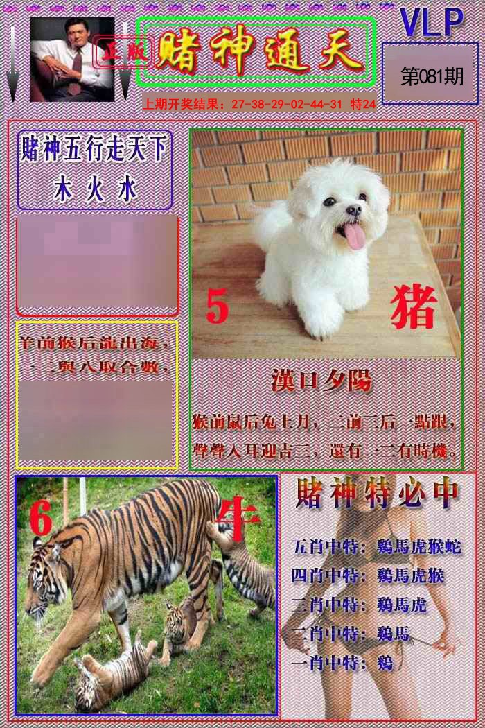 081期赌神通天报[图]