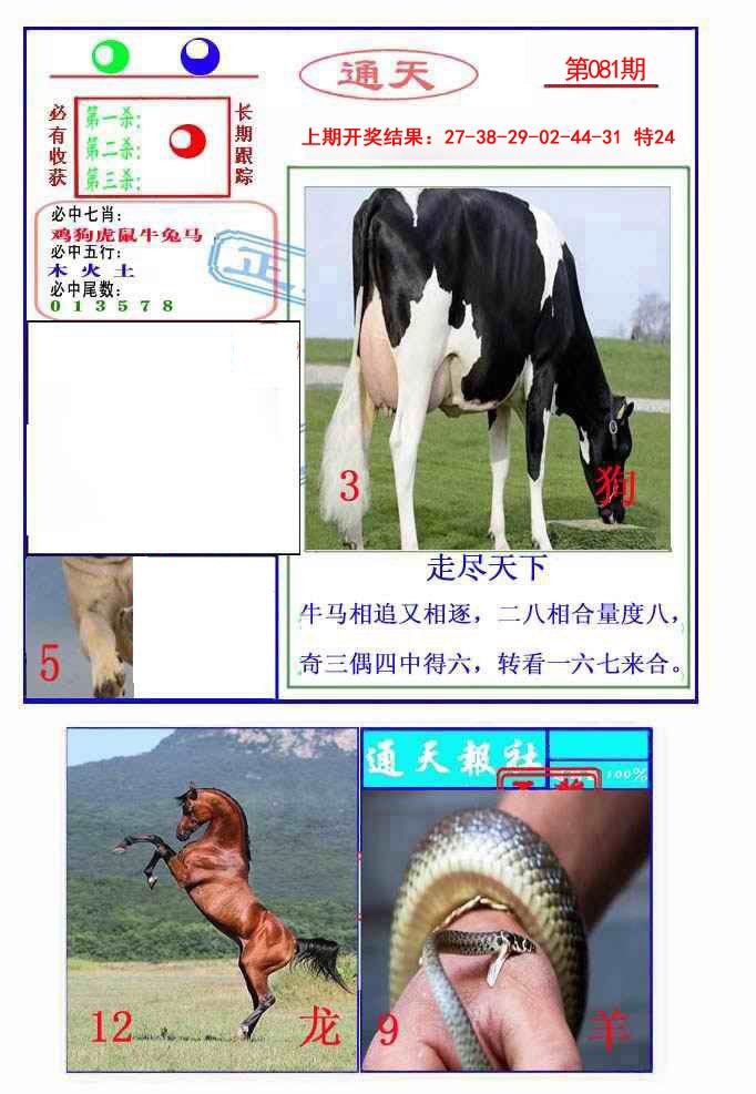 081期通天杀波图2[图]