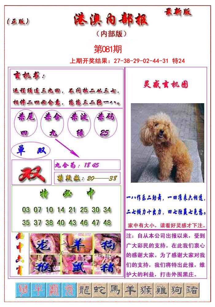 081期港澳报[图]