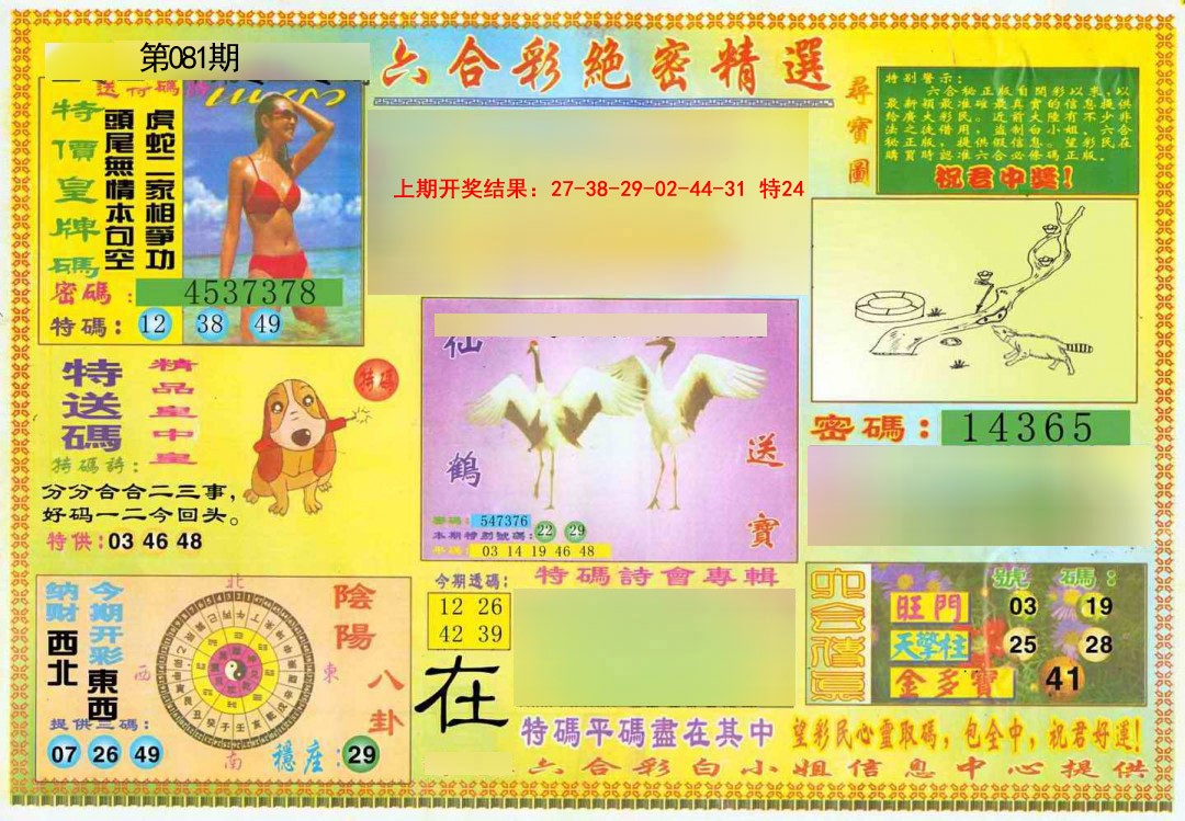 081期绝密精选A[图]