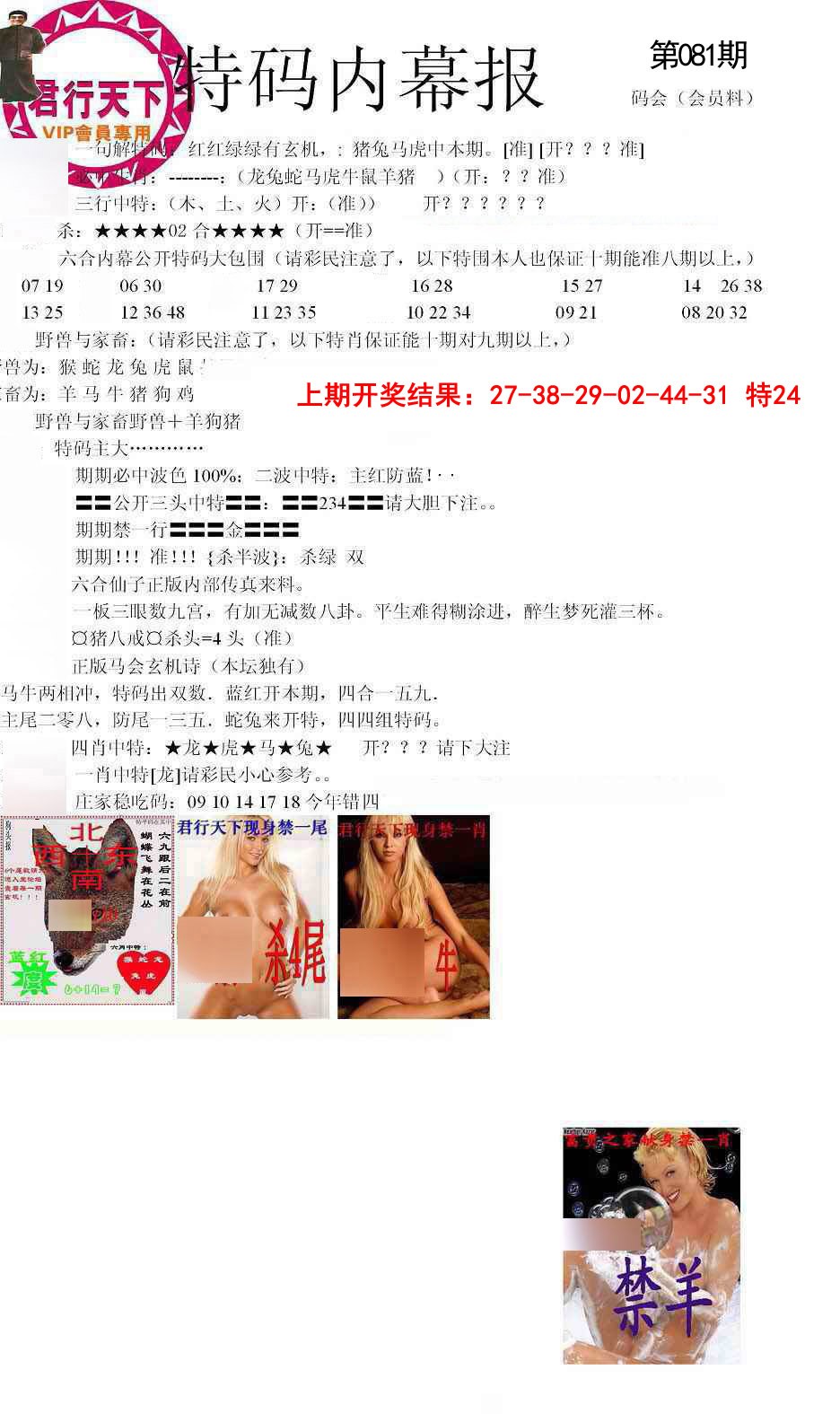 081期特码内幕报[图]