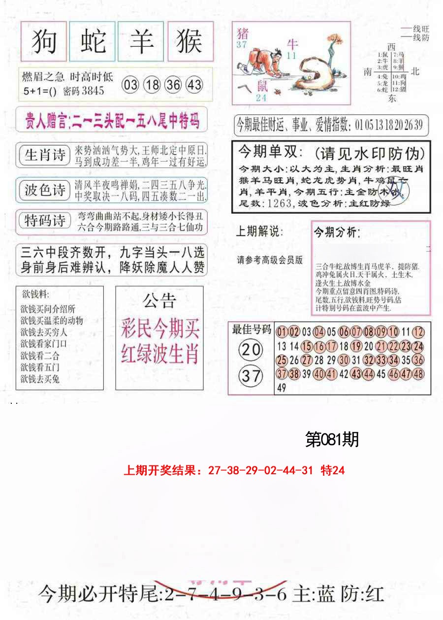 081期凤凰闲情A[图]