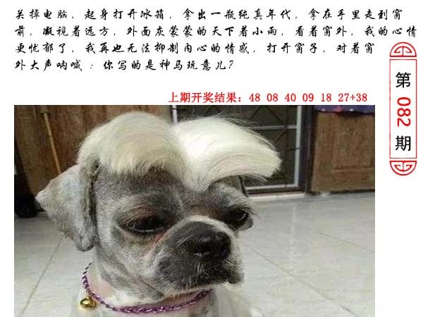 082期澳门生活幽默[图]