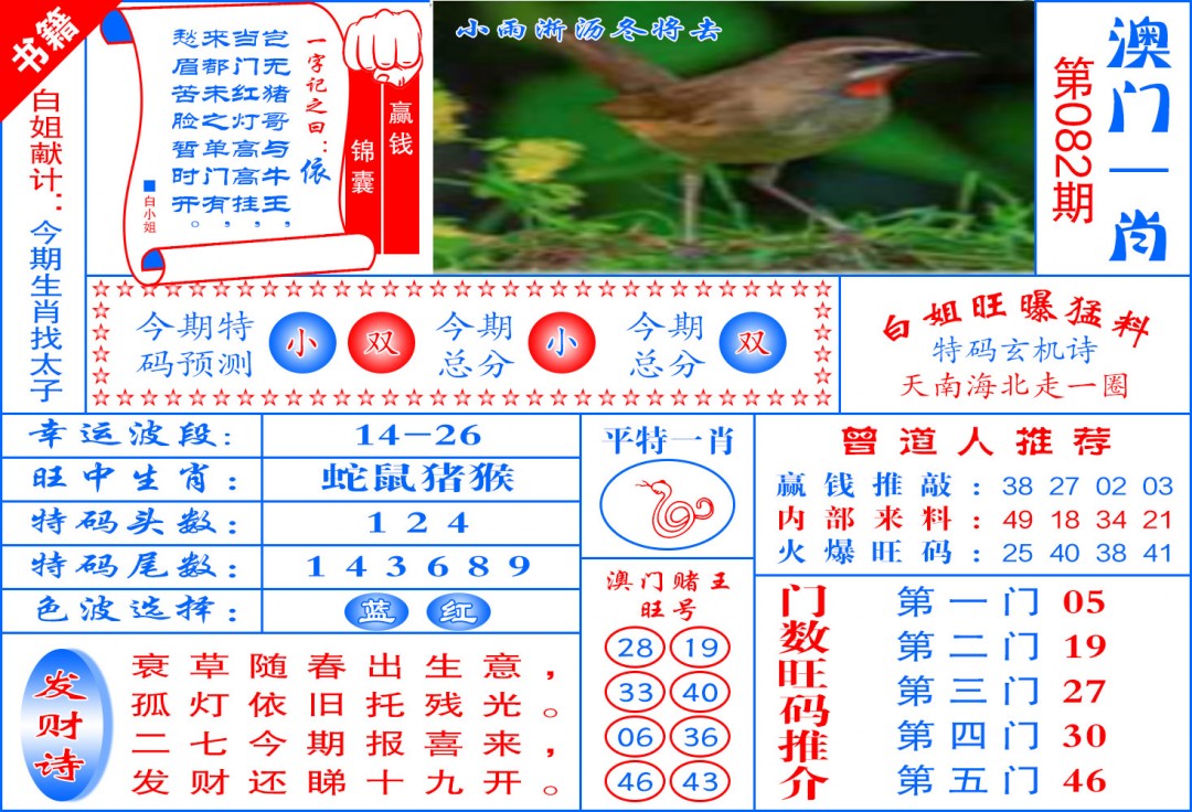 082期澳门东北虎[图]