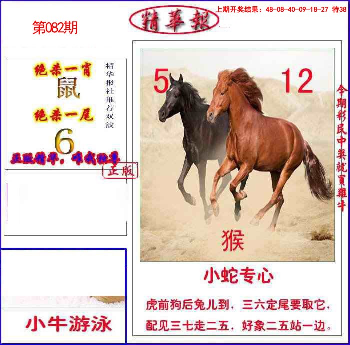 082期新精华报报[图]