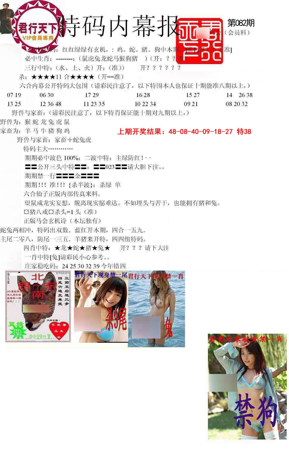 082期特码内幕报[图]