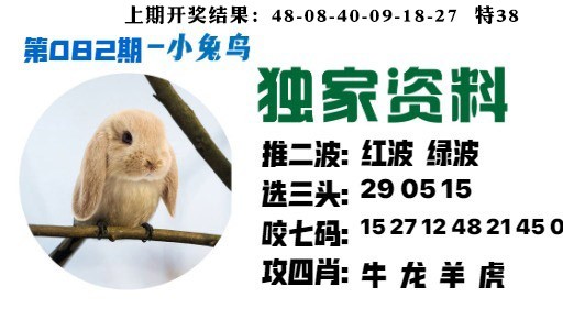 082期小兔鸟[图]