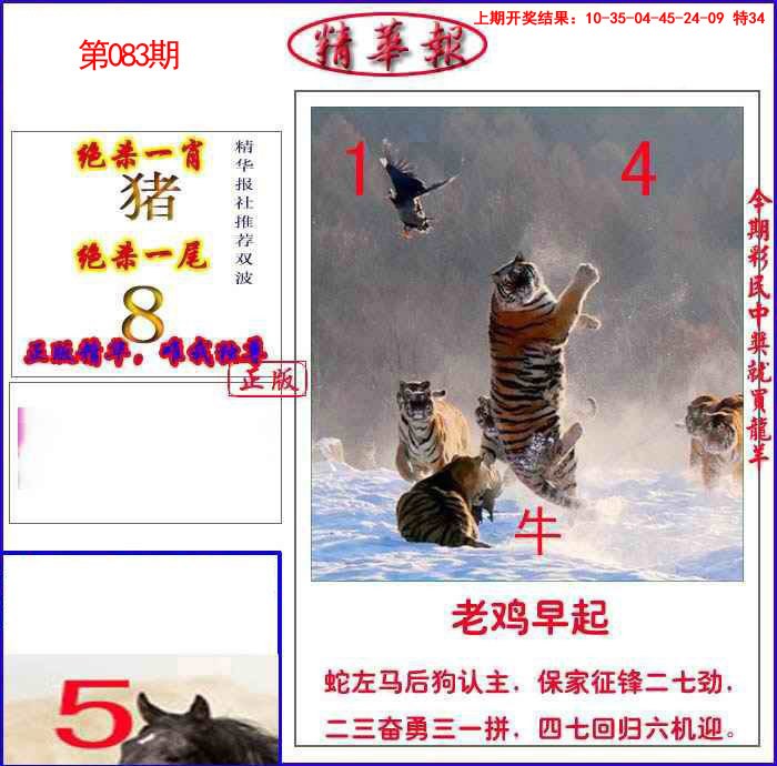 083期新精华报报[图]