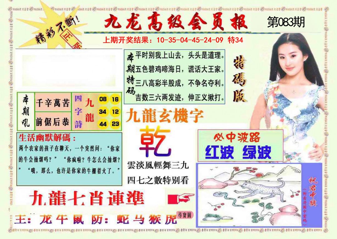 083期九龙高级会员报[图]