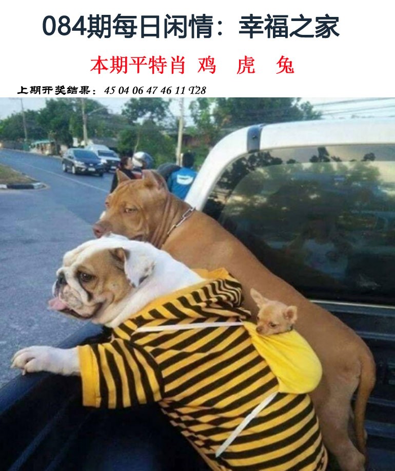 084期每日闲情[图]