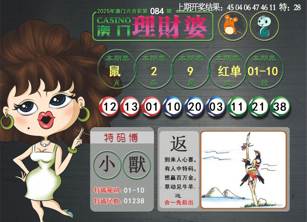 084期澳门理财婆[图]