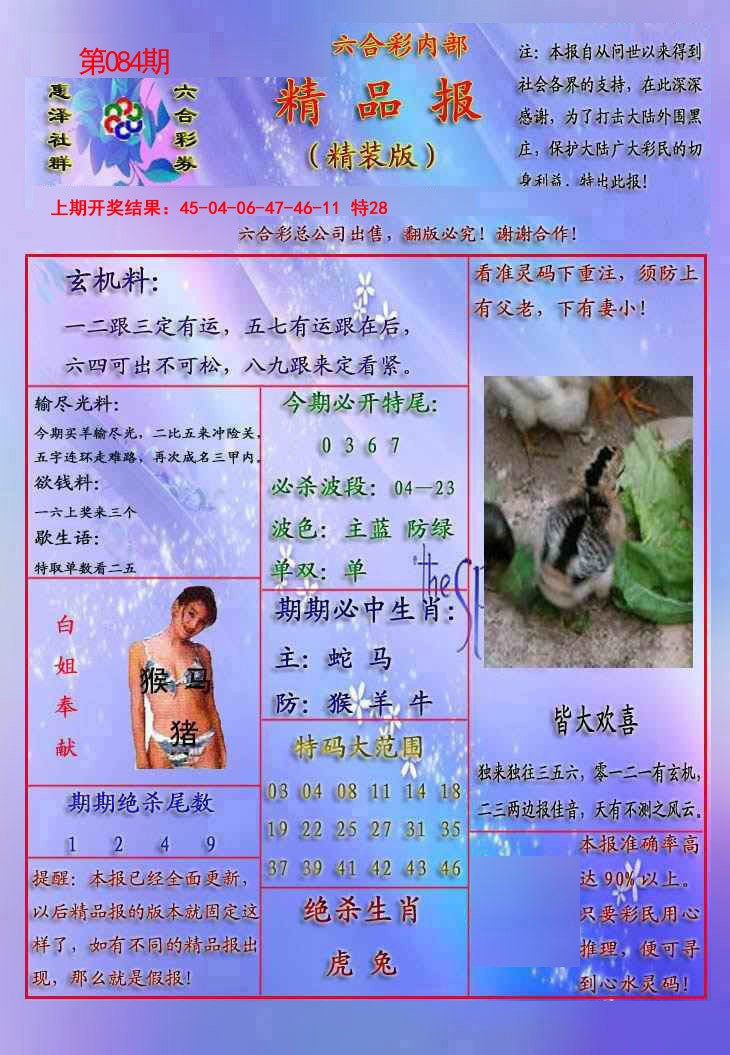 084期精品报[图]