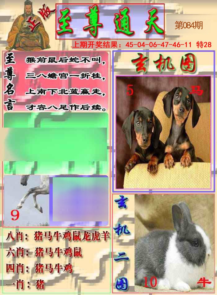 084期至通报[图]