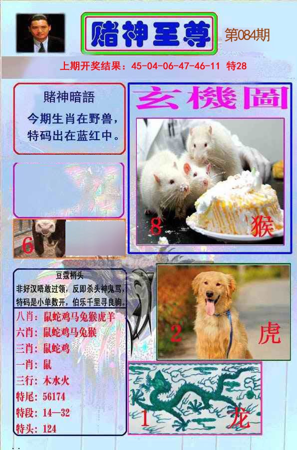 084期赌神至尊[图]