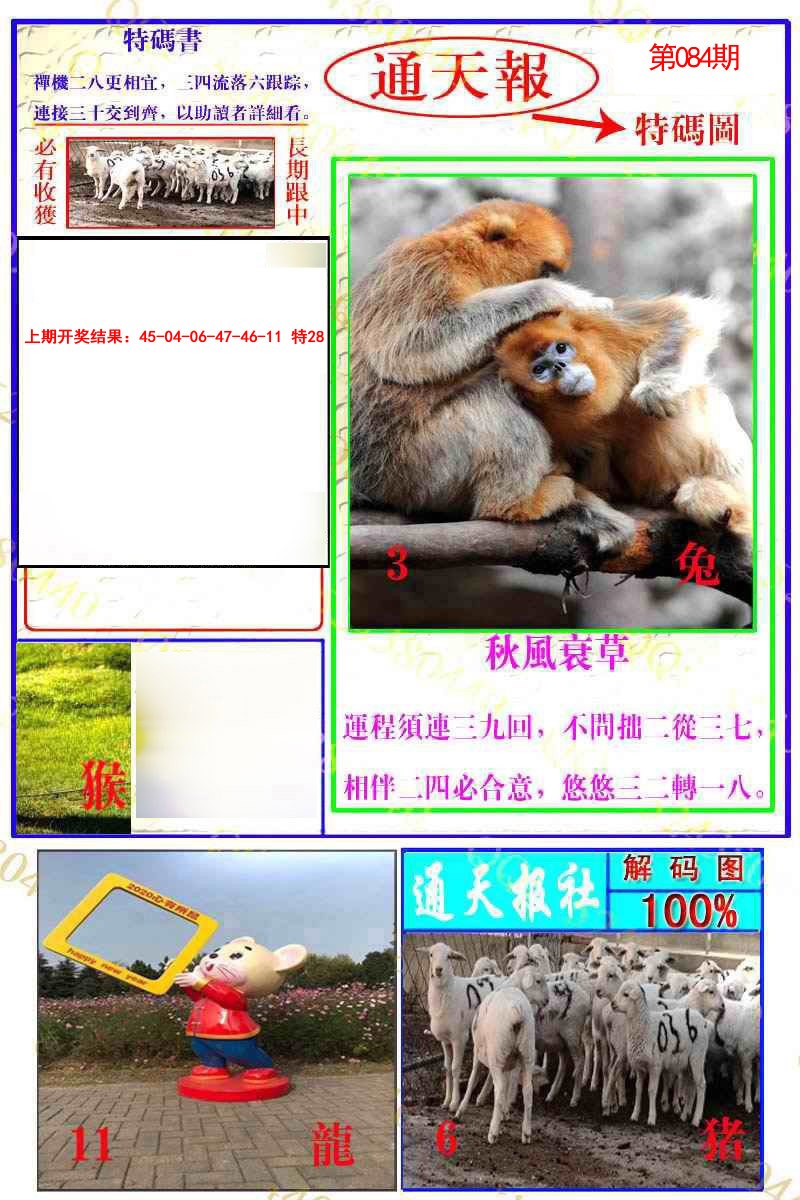 084期通天特解图[图]
