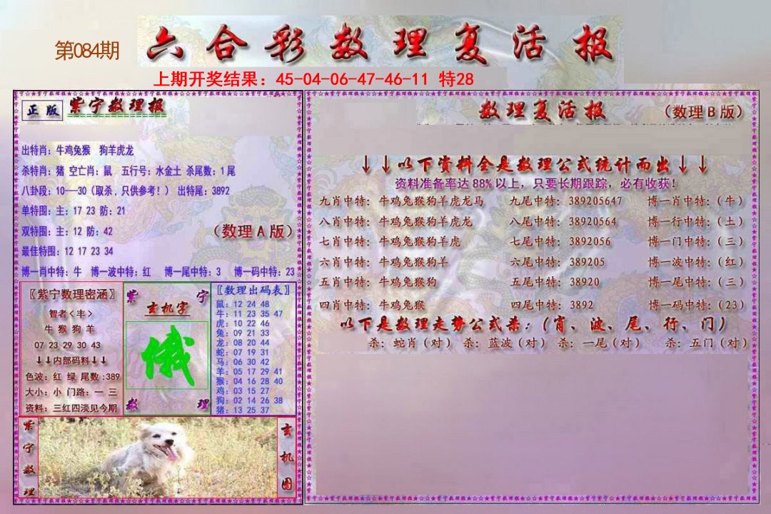 084期数理复活报[图]