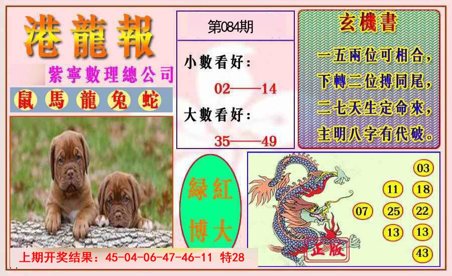084期港龙报[图]