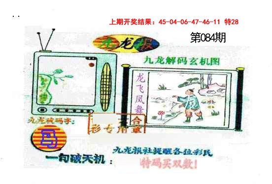084期九龙报[图]