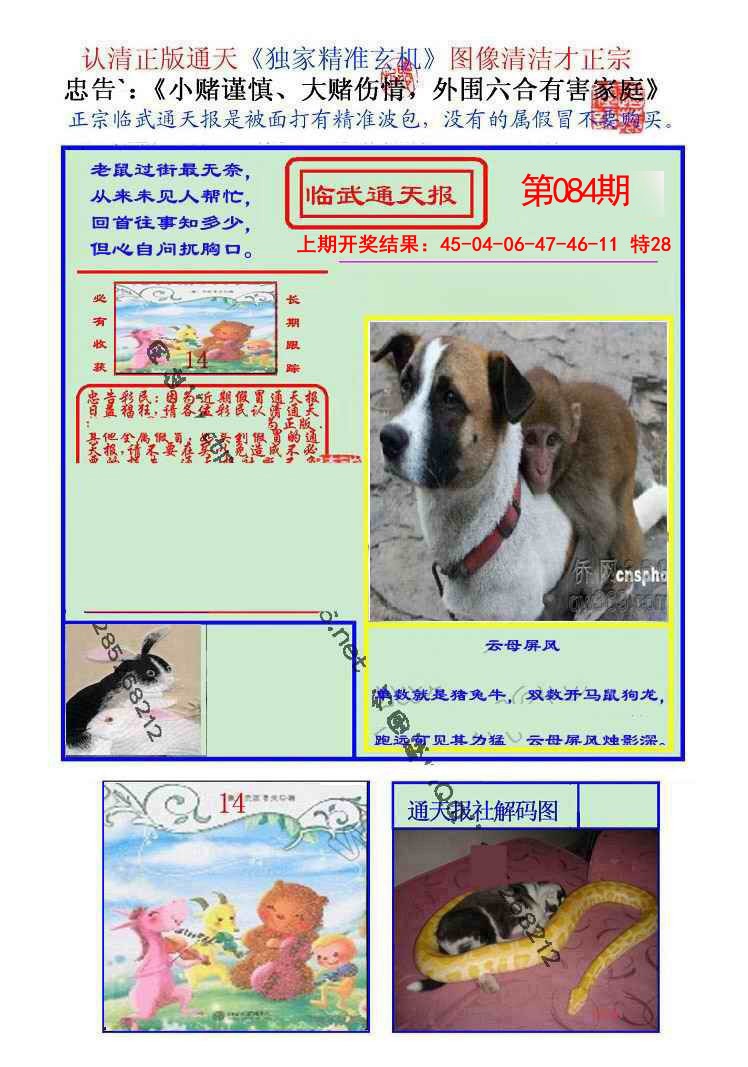 084期临武通天报[图]