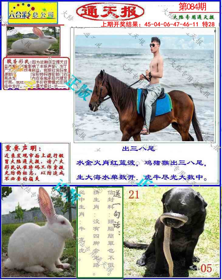 084期大陆通天报[图]