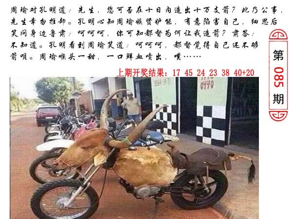 085期澳门生活幽默[图]