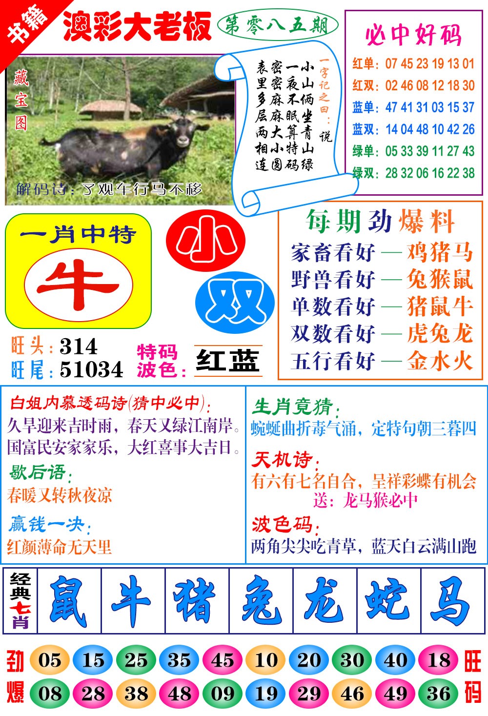 085期澳门大老板[图]