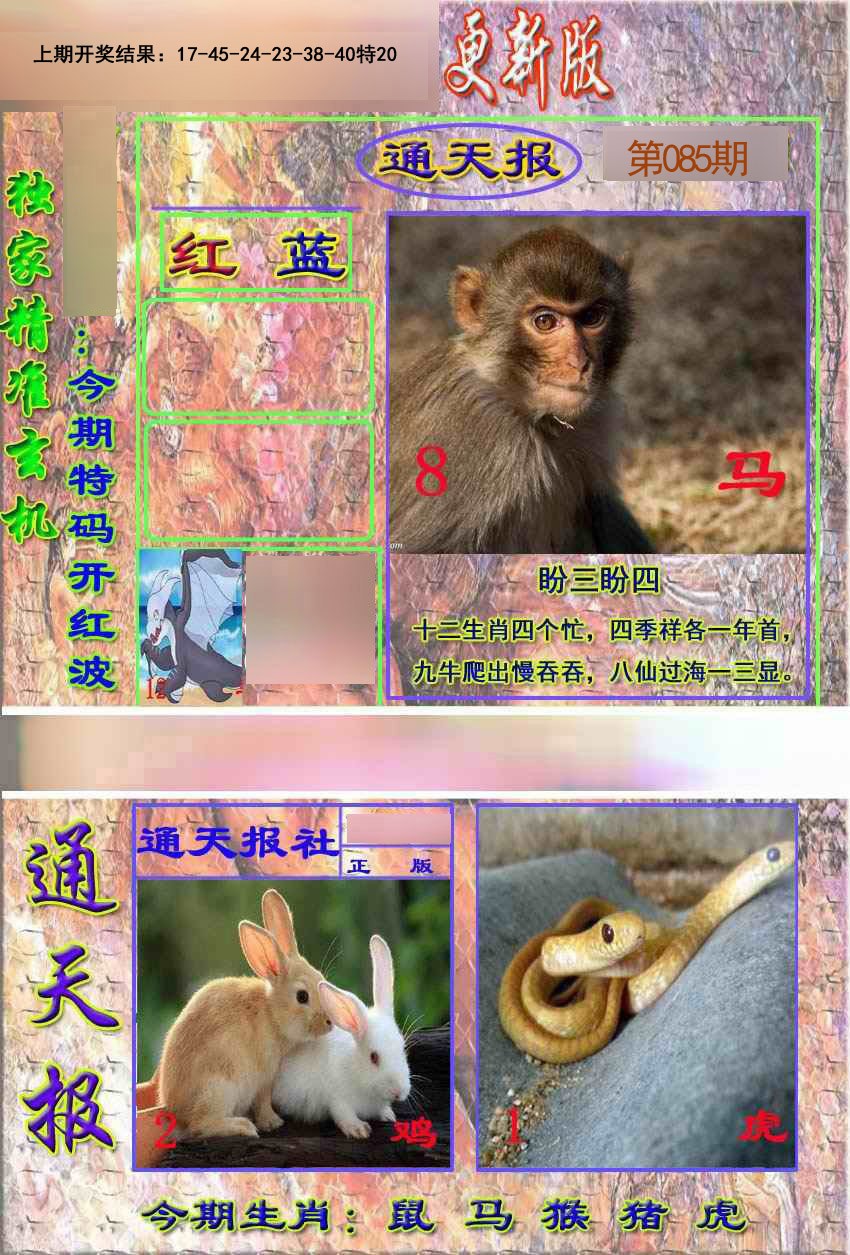085期新通报[图]