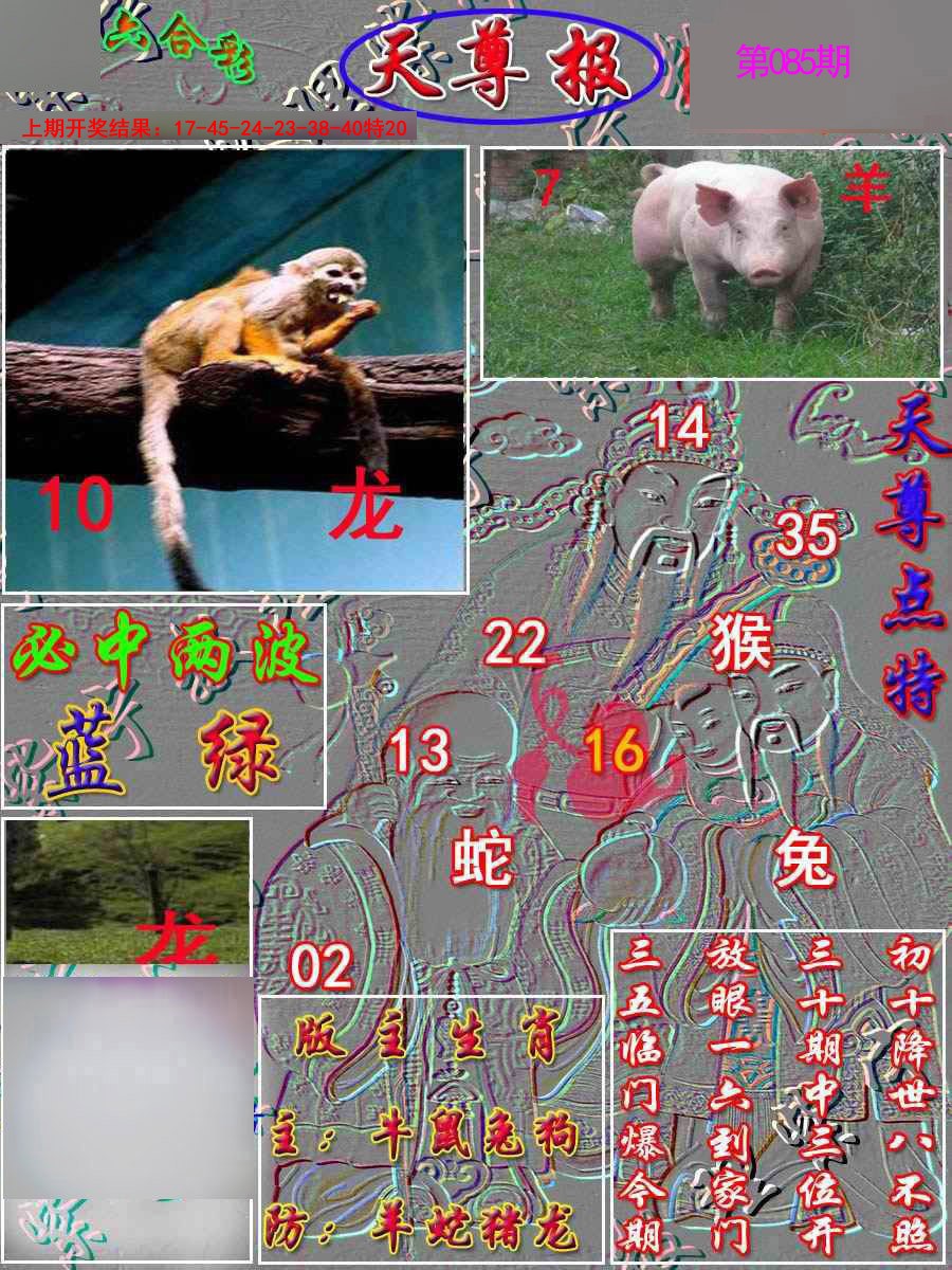 085期天尊报[图]