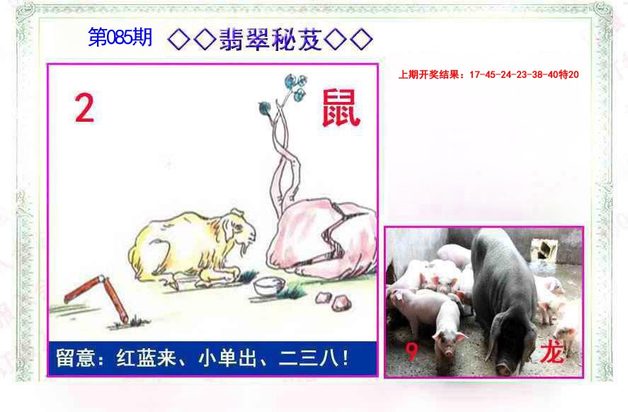 085期翡翠报[图]