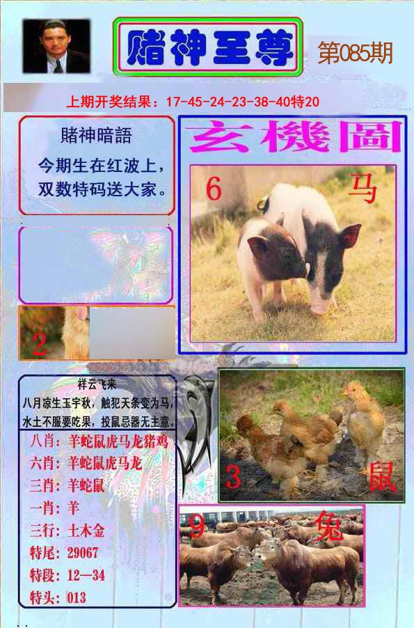 085期赌神至尊[图]