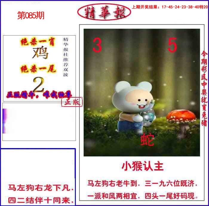 085期新精华报报[图]
