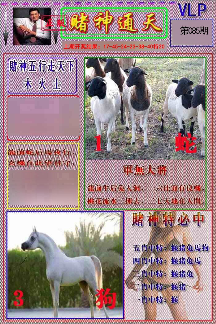 085期赌神通天报[图]