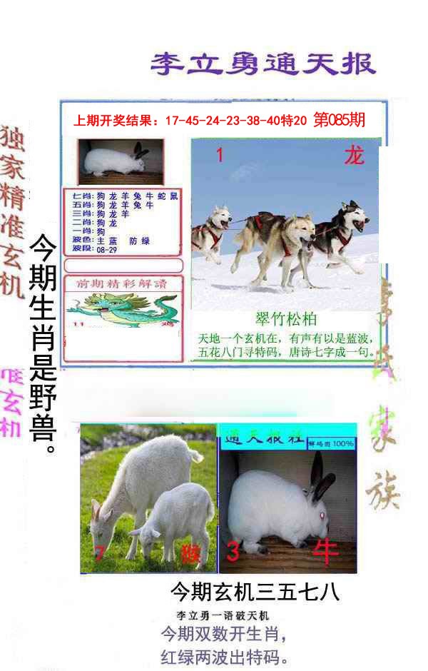 085期李立勇通天报[图]