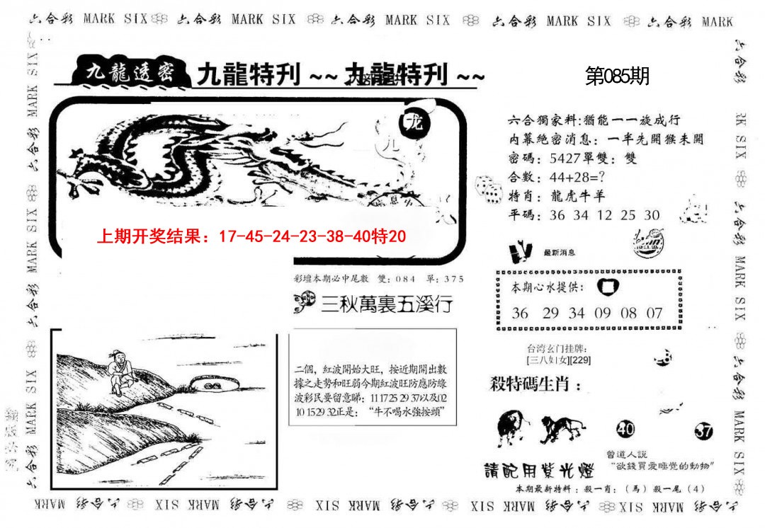 085期九龙特新刊[图]