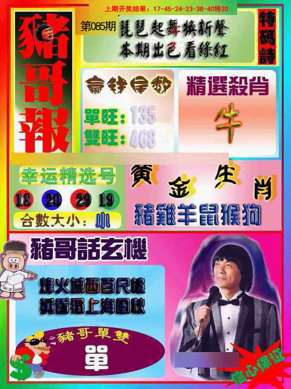 085期猪哥报[图]