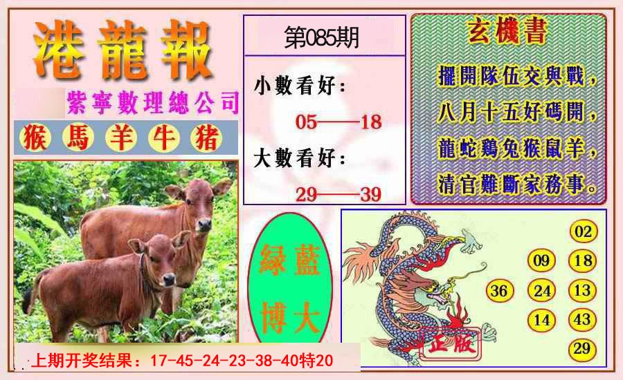 085期港龙报[图]